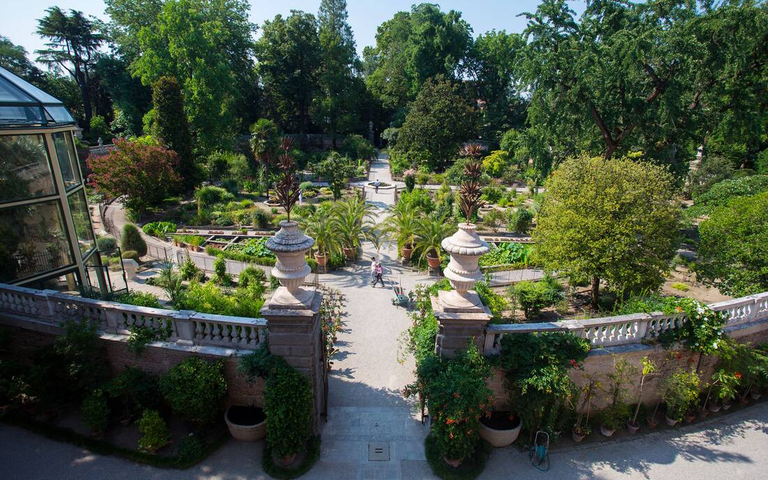 Ancient Botanical Garden of Padova